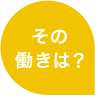 その働きは？