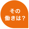その働きは？