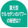 還元型ケルセチンのパワーの秘密は？