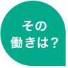 その働きは？