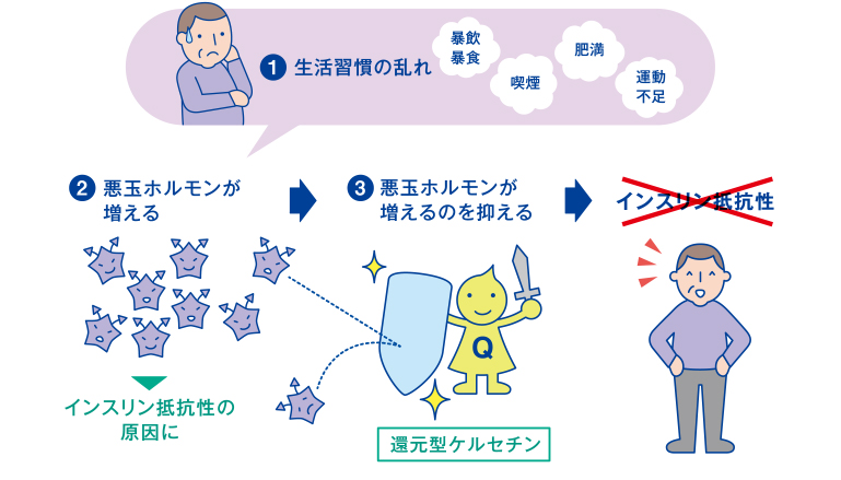 インスリン抵抗性を招くメカニズム