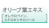 オリーブ葉エキス