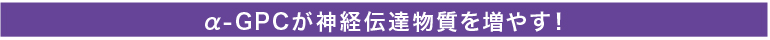 α-GPCが神経伝達物質を増やす！