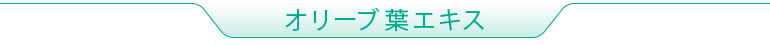 オリーブ葉エキス