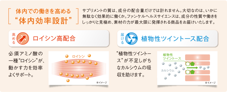 ロイシン